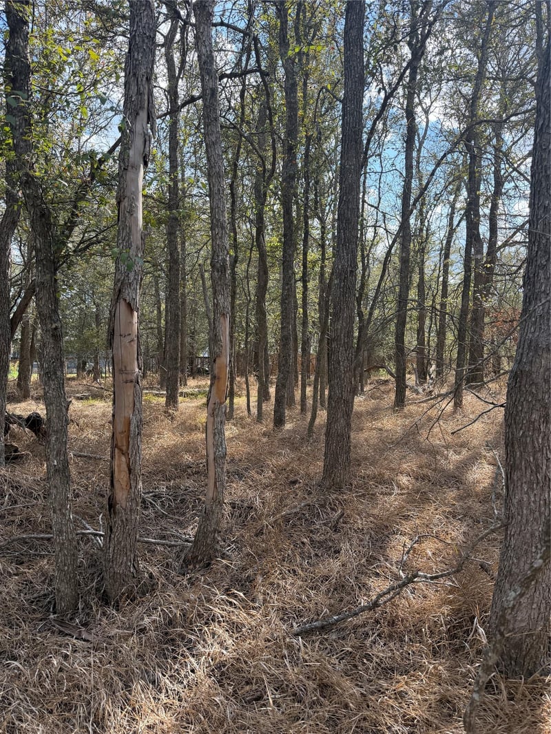Virtual tour of Lot 118 W Keomuku Ln