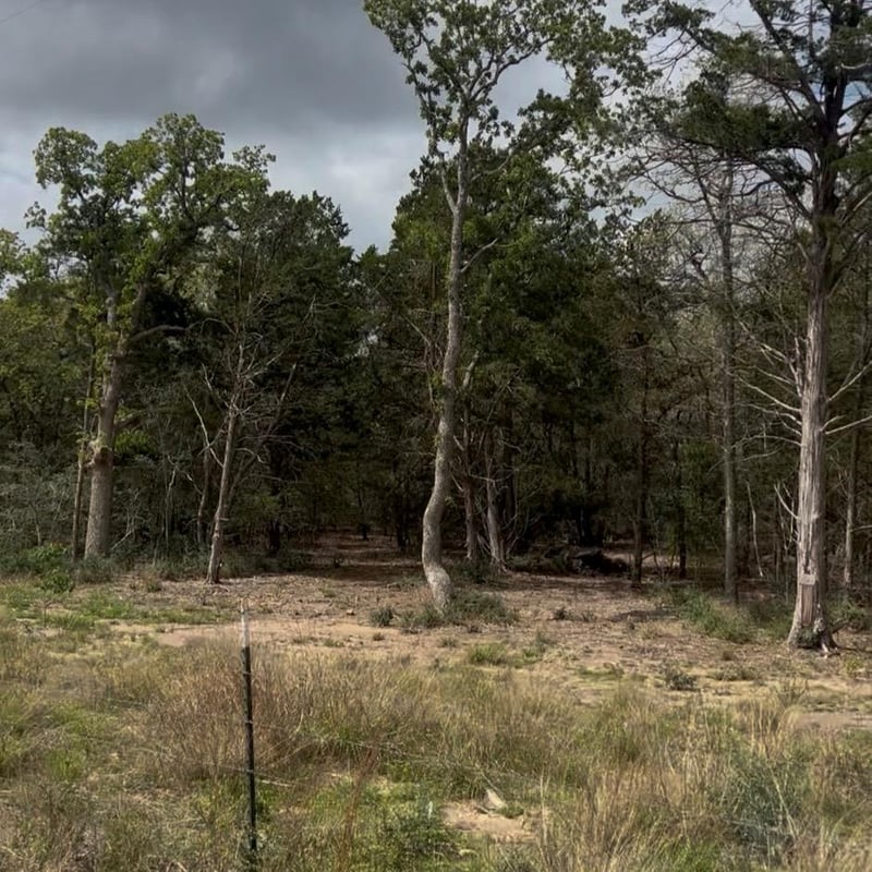 Virtual tour of Lot 15 Antioch RD