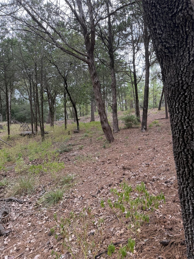 Virtual tour of Lot 289 Aka CT