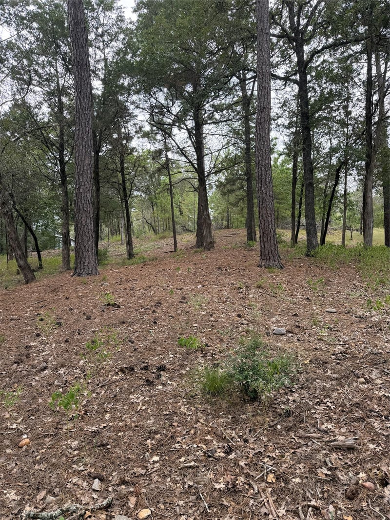 Virtual tour of Lot 290 Aka CT