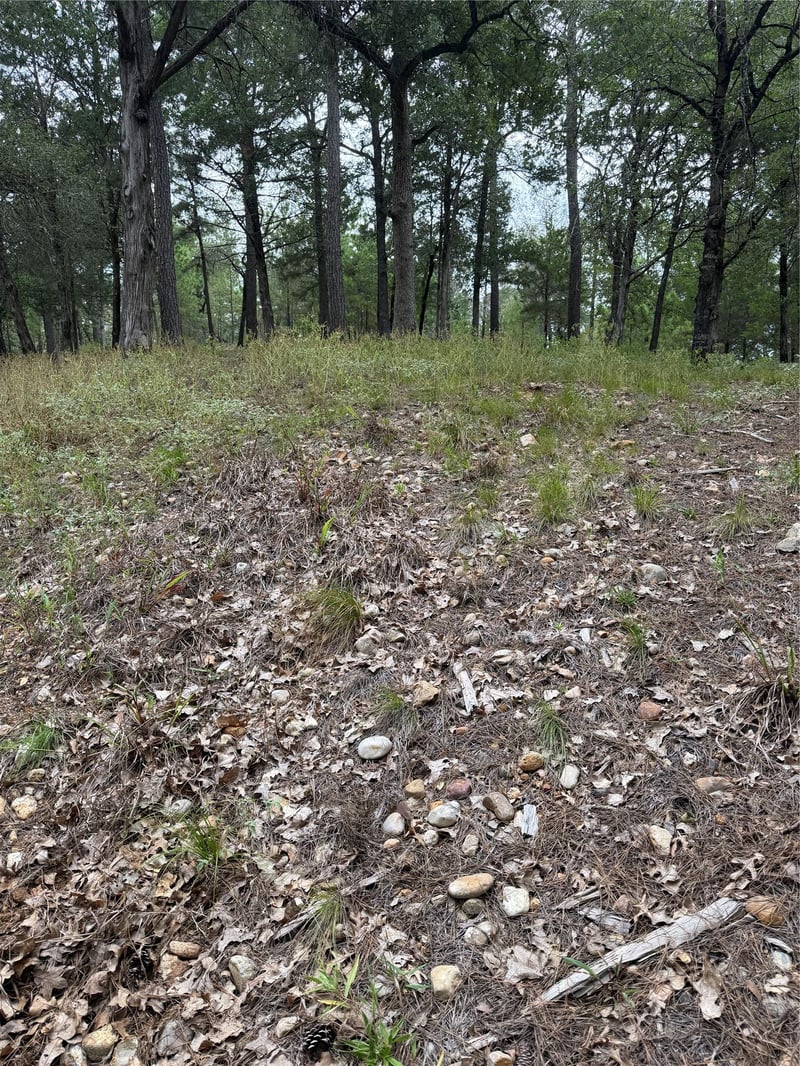 Virtual tour of Lot  291 Aka CT