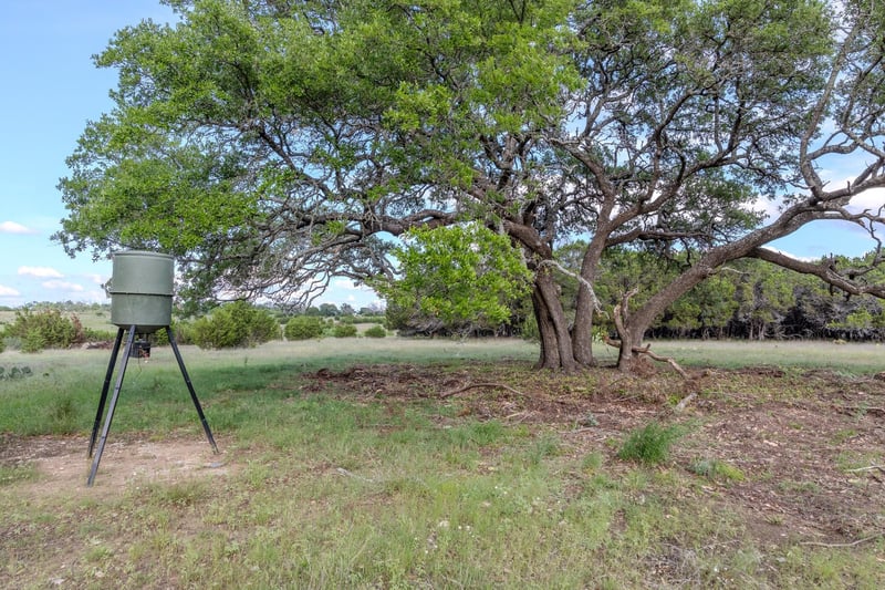 Virtual tour of Lot 3 Bluestem LN