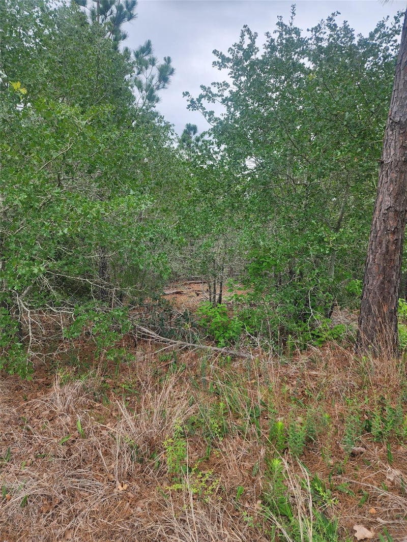 Virtual tour of lot 70 Lakeside DR