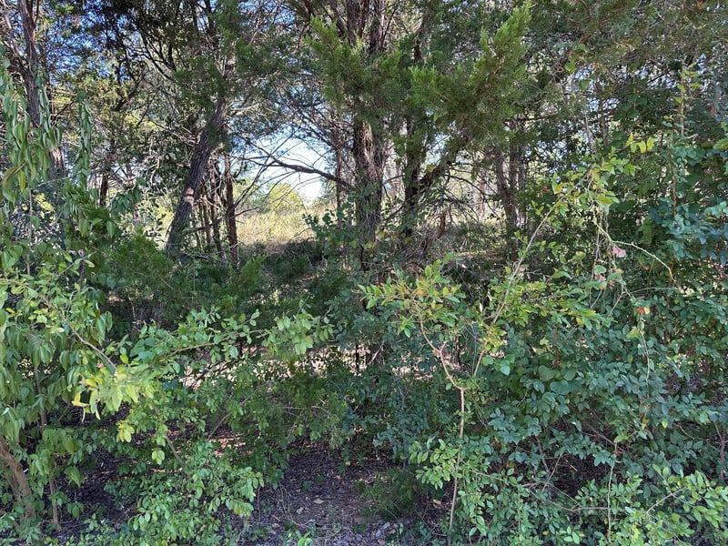 Virtual tour of LOT 9 Robin RUN
