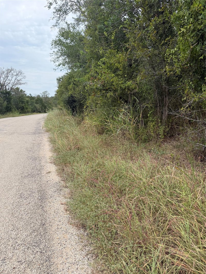 Virtual tour of Lots 451
