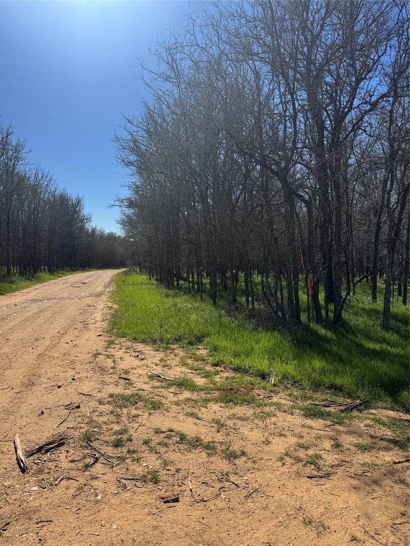 Virtual tour of Lots 499 and 500 Kaaawa LN