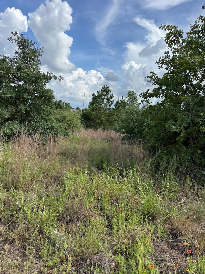 Virtual tour of Lots 88