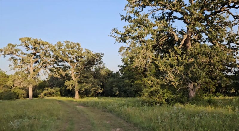 Virtual tour of Ranch Land Easley Rd