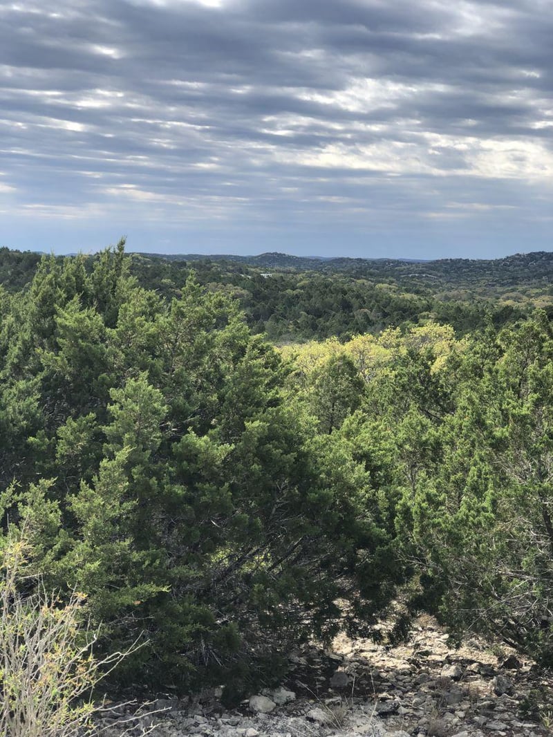 Virtual tour of TBD County Road 635