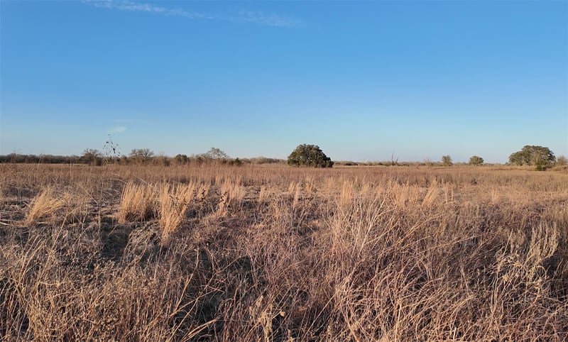 Virtual tour of TBD (Tract 5) CR 119